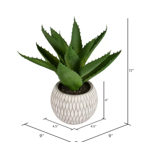 Arrangements & Greenery-Kirkland's Home Deep Aloe Leaves In Ceramic Container Green