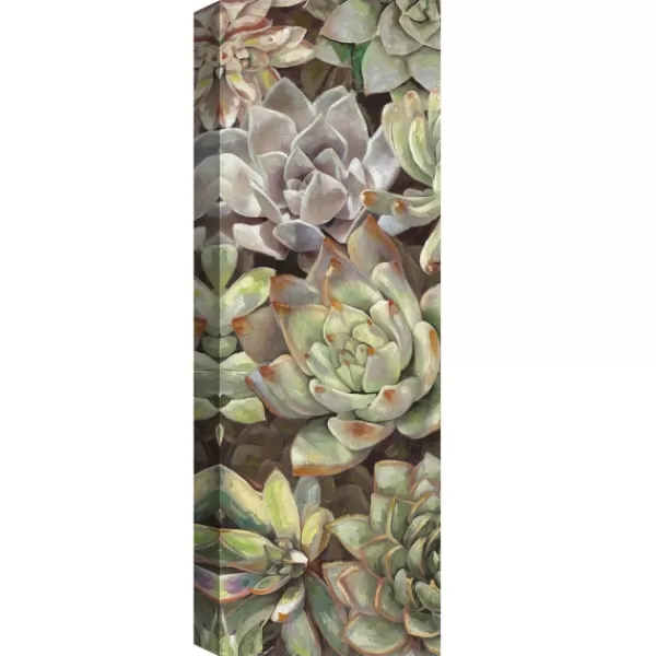 Canvas Art-Kirkland's Home Desert Garden I And Ii Canvas Art Prints, Set Of 2 Green