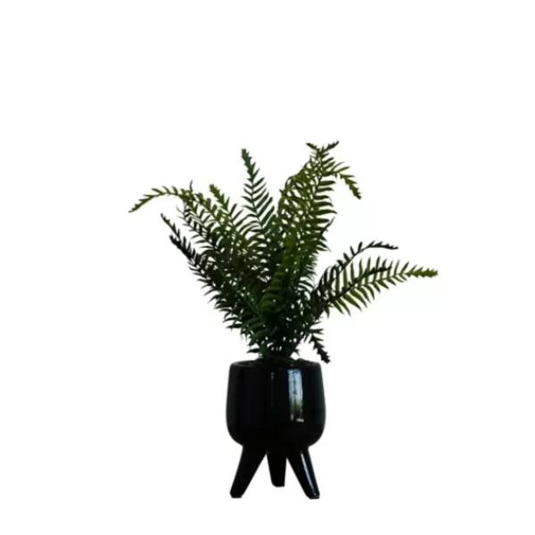 Arrangements & Greenery-Kirkland's Home Desktop Palm Plant In Black Planter Green/Black