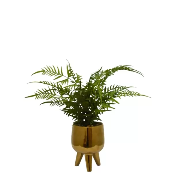 Arrangements & Greenery-Kirkland's Home Desktop Palm Plant In Gold Planter Green/Gold