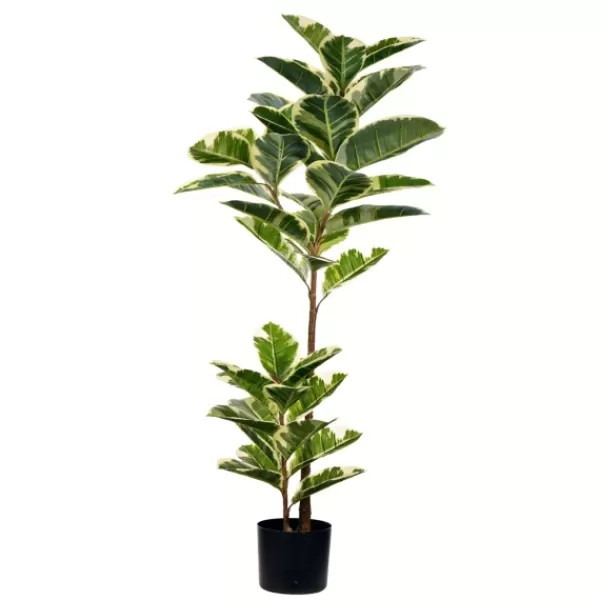 Trees & Topiaries-Kirkland's Home Dieffenbachia Tree In Black Planter