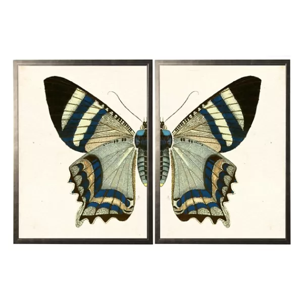 Framed Art-Kirkland's Home Diptych Butterfly Framed Art Print, Set Of 2 Blue/Gray