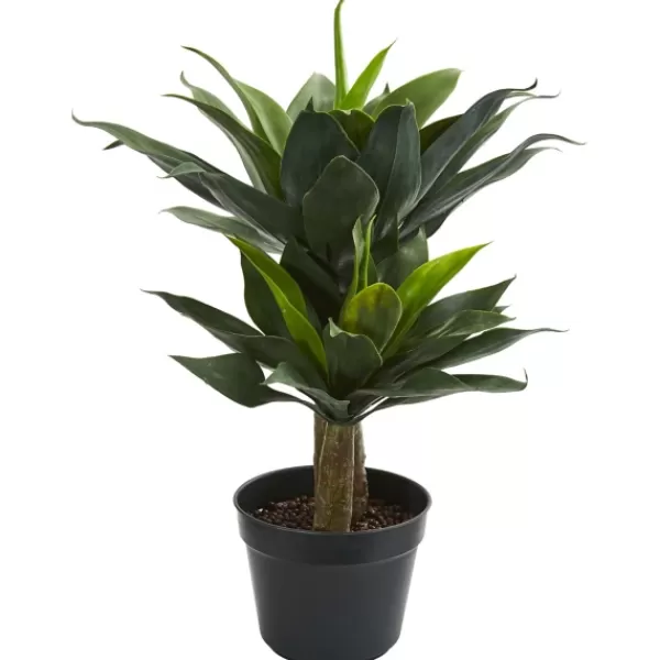 Trees & Topiaries-Kirkland's Home Double Agave Succulent, 29 In.