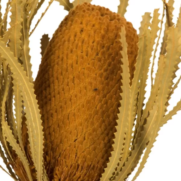 Stems & Bouquets-Kirkland's Home Dried And Dyed Jumbo Banksia Stems, Set Of 3 Gold