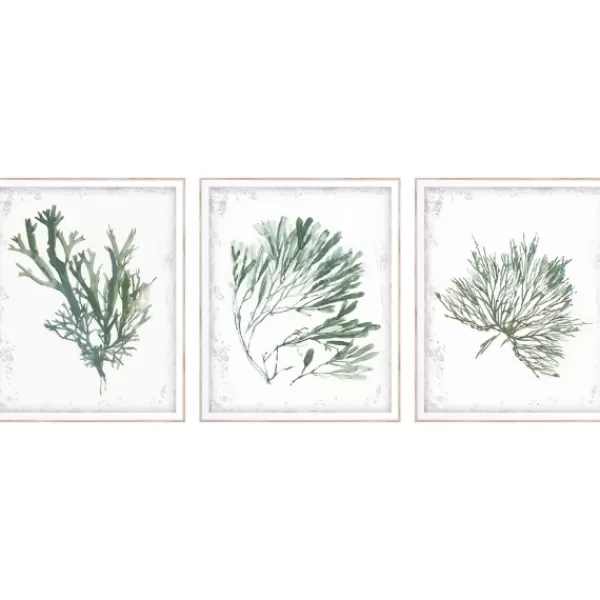 Framed Art-Kirkland's Home Emerald Coral I 3-Pc. Framed Art Print Set White/Green