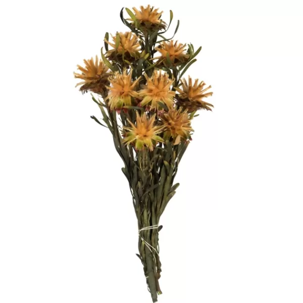 Stems & Bouquets-Kirkland's Home En Preserved Plumosum Flower Bundle Gold