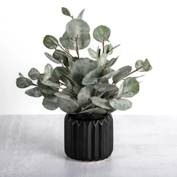 Arrangements & Greenery-Kirkland's Home Eucalyptus Arrangement In Black Planter Green/Black