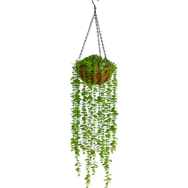 Arrangements & Greenery-Kirkland's Home Eucalyptus Vines Hanging Basket Green