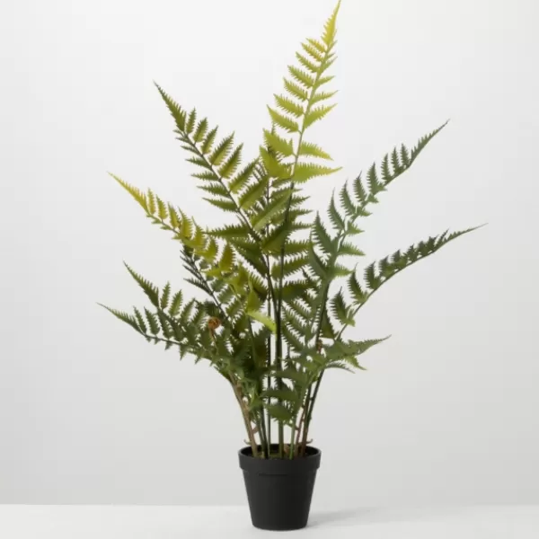 Trees & Topiaries-Kirkland's Home Feathered Fern In Black Nursery Planter Green/Black