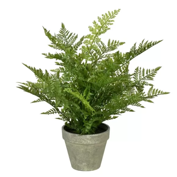 Arrangements & Greenery-Kirkland's Home Fern Arrangement In Paper Pot Green