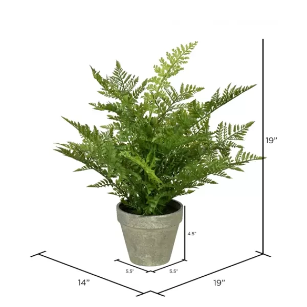 Arrangements & Greenery-Kirkland's Home Fern Arrangement In Paper Pot Green