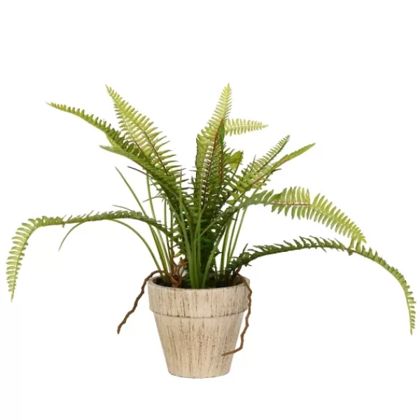 Arrangements & Greenery-Kirkland's Home Fern Bush In Distressed Ivory Planter Green