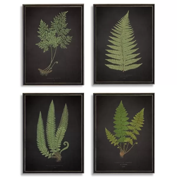 Framed Art-Kirkland's Home Fern Framed Art Prints, Set Of 4 Black/Green