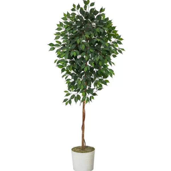 Trees & Topiaries-Kirkland's Home Ficus Tree With Moss In White Tin Planter