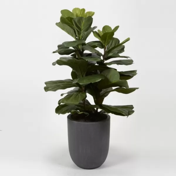 Trees & Topiaries-Kirkland's Home Fiddle Leaf Fig In Modern Gray Planter