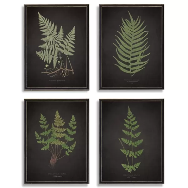 Framed Art-Kirkland's Home Four Ferns Framed Art Prints, Set Of 4 Black/Green