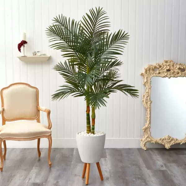 Trees & Topiaries-Kirkland's Home Golden Cane Palm With White Planter, 5.5 Ft.