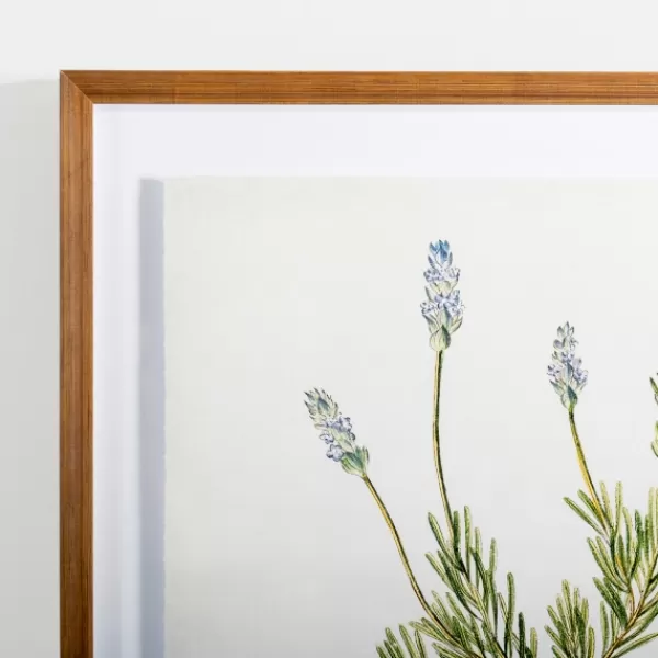 Framed Art-Kirkland's Home Golden Leaves Herbs Lavender Framed Art Print White/Green