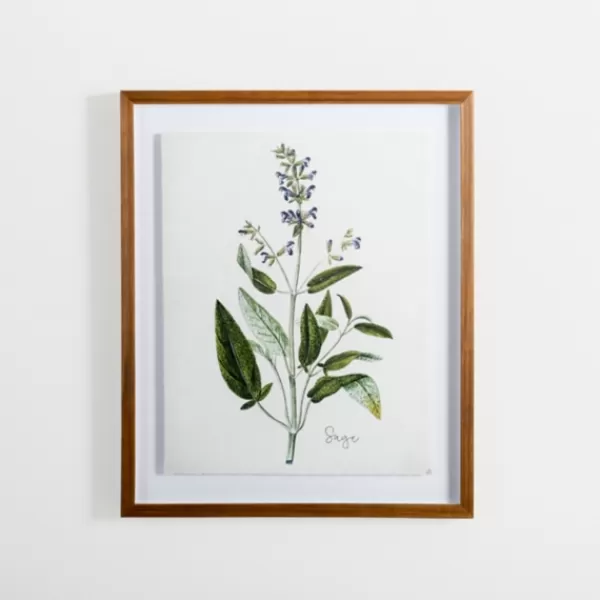 Framed Art-Kirkland's Home Golden Leaves Herbs Sage Framed Art Print White/Green