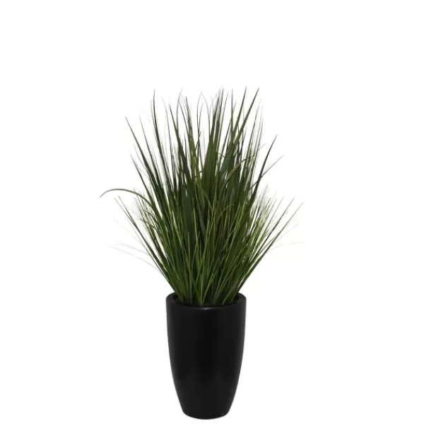 Arrangements & Greenery-Kirkland's Home Grass Arrangement In Black Cement Pot Green/Black