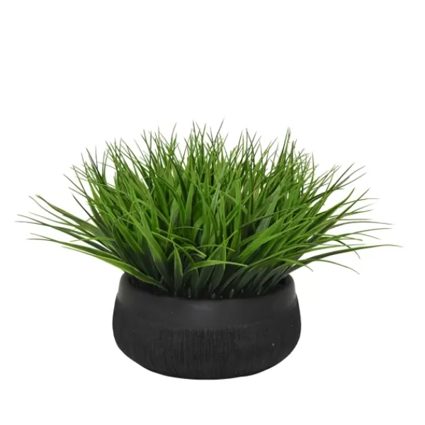 Arrangements & Greenery-Kirkland's Home Grass Arrangement In Black Ceramic Bowl Green/Black