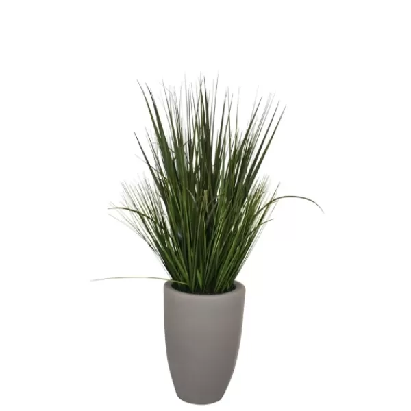 Arrangements & Greenery-Kirkland's Home Grass Arrangement In Gray Cement Pot Green/Gray