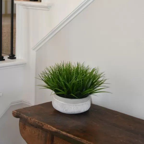 Arrangements & Greenery-Kirkland's Home Grass Arrangement In Gray Ceramic Bowl Green/Gray