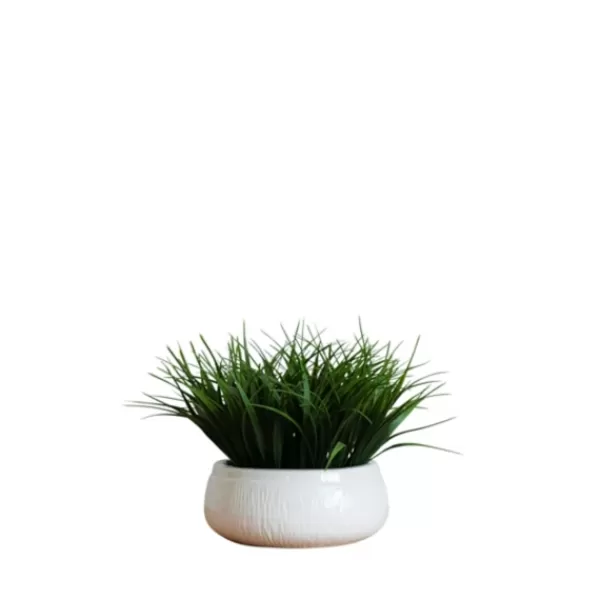 Arrangements & Greenery-Kirkland's Home Grass Arrangement In White Ceramic Bowl Green/White