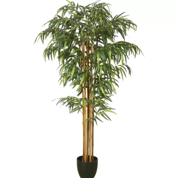 Trees & Topiaries-Kirkland's Home Green Bamboo Tree In Black Planter