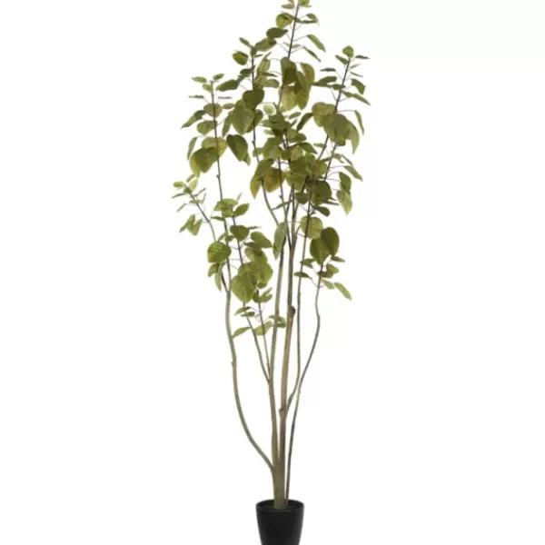 Trees & Topiaries-Kirkland's Home Green Potted Cotinus Coggygria Tree, 6 Ft.