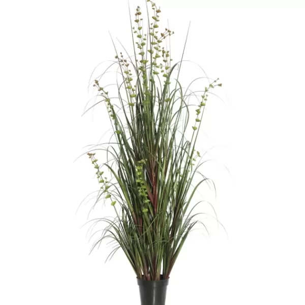 Trees & Topiaries-Kirkland's Home Green Potted Eucalyptus Grass, 24 In.