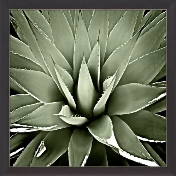 Framed Art-Kirkland's Home Green Succulent Iii Framed Canvas Art Green/White/Black