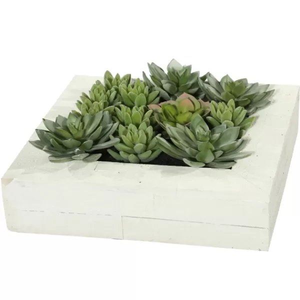 Arrangements & Greenery-Kirkland's Home Green Succulents In White Rustic Planter Green/White