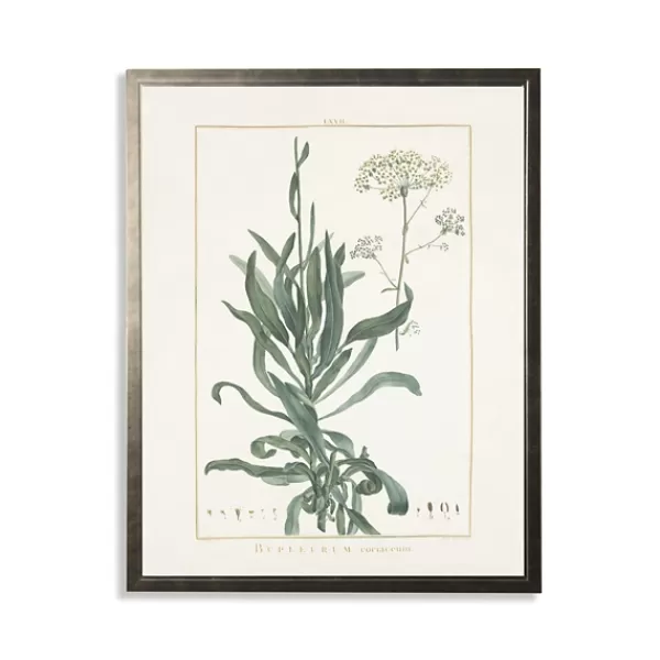 Framed Art-Kirkland's Home Greenery Botanical Ii Pewter Framed Art Print Ivory