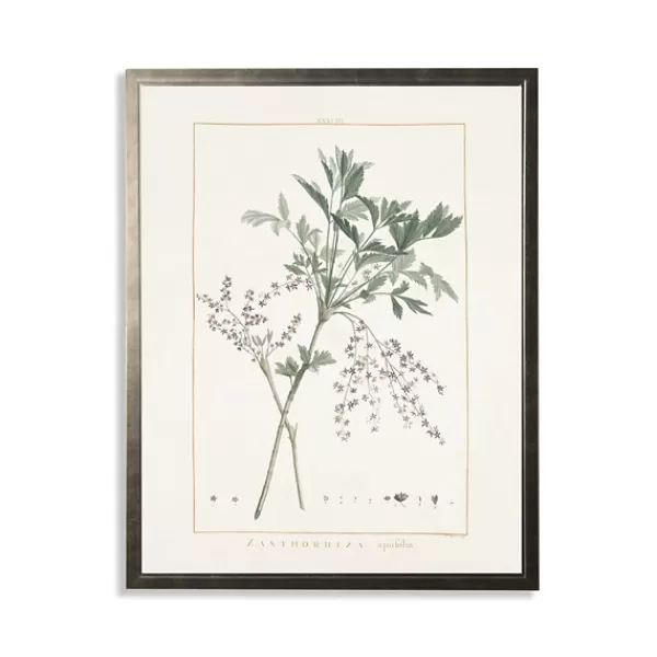 Framed Art-Kirkland's Home Greenery Botanical Iv Pewter Framed Art Print Ivory