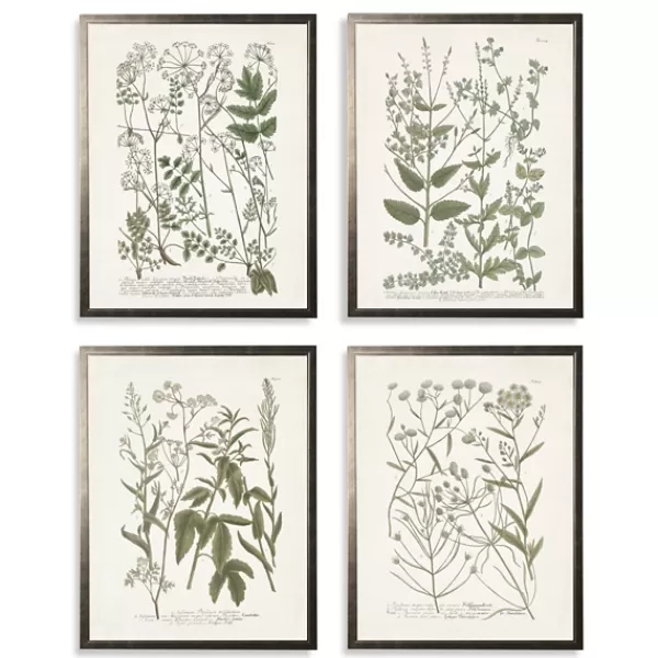 Framed Art-Kirkland's Home Greenery On Cream Back Framed Art Prints, Set Of 4 Green/Ivory