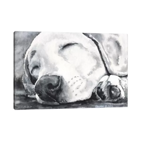 Canvas Art-Kirkland's Home Happy Dreams Dog Giclee Canvas Art Print, 40X26 Gray