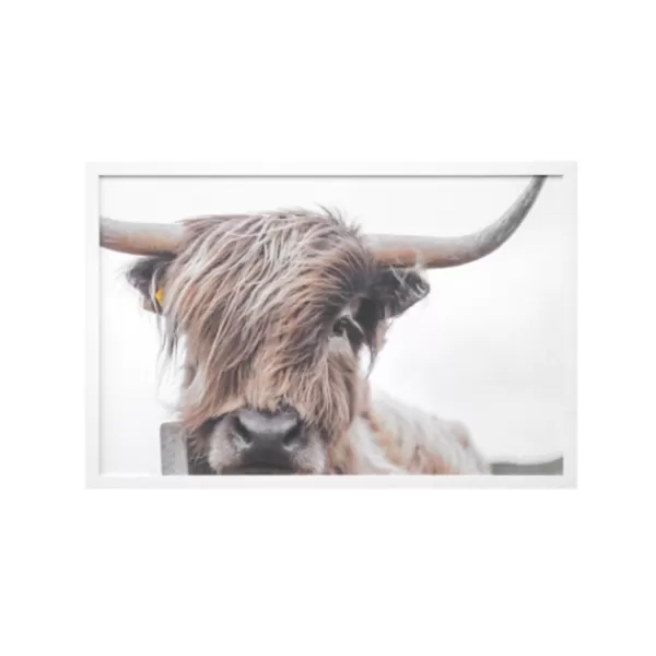 Framed Art-Kirkland's Home Highland Cow Framed Art Print Brown/White