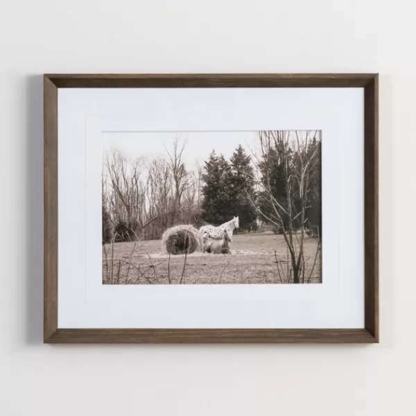 Framed Art-Kirkland's Home Horse Photography Framed Art Print Black/White