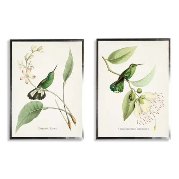 Framed Art-Kirkland's Home Hummingbirds On Flowers 2-Pc. Framed Art Print Set Ivory/Green