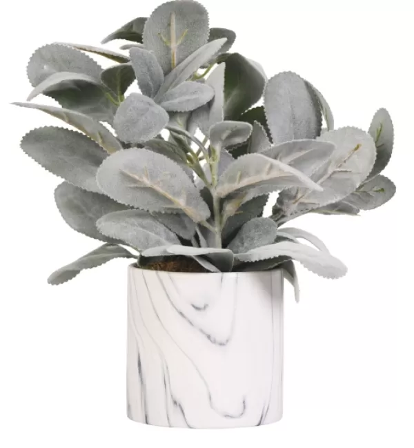 Arrangements & Greenery-Kirkland's Home Lamb'S Ear Arrangement In Marbled Planter Green/White