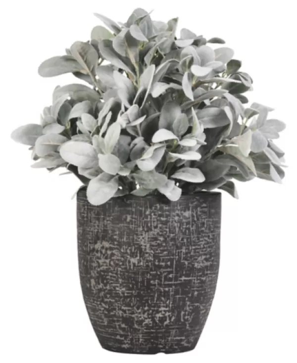 Arrangements & Greenery-Kirkland's Home Lamb'S Ear Arrangement In Textured Black Planter Green/Black