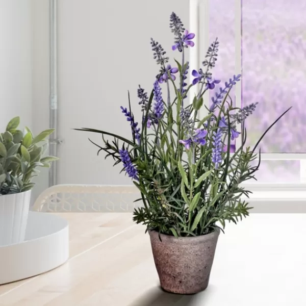 Arrangements & Greenery-Kirkland's Home Lavender Plant In Speckled Cement Planter Purple/Green