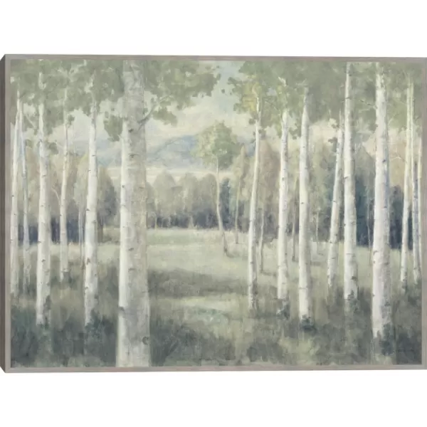 Framed Art-Kirkland's Home Light Aspens Forest Framed Wall Art Gray/White/Green