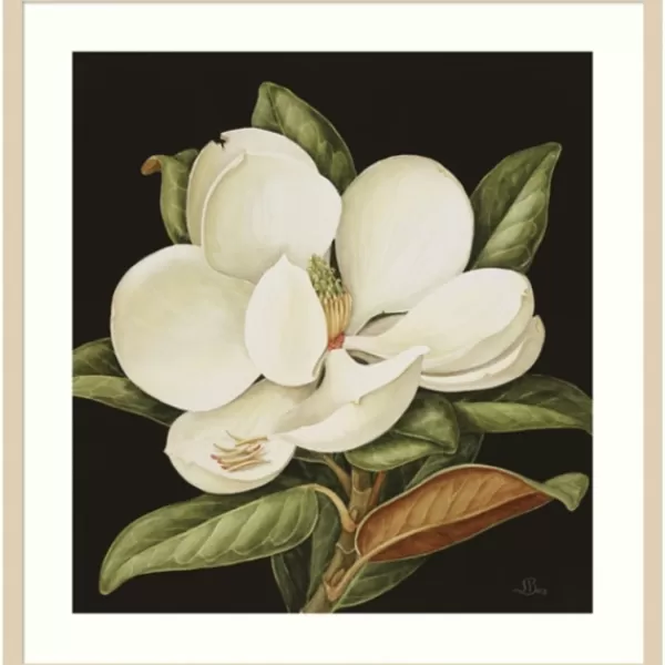 Framed Art-Kirkland's Home Magnolia Grandflora Framed Art Print White/Green/Black