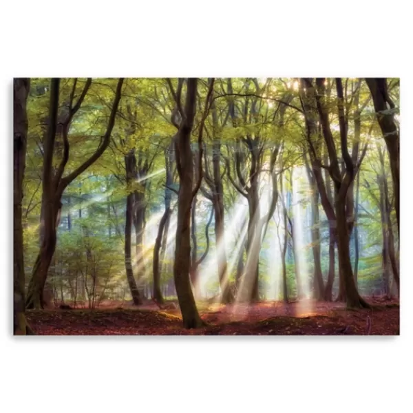 Canvas Art-Kirkland's Home Majestic Morning Giclee Canvas Art Print Green