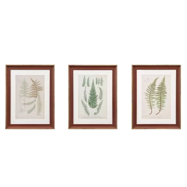 Framed Art-Kirkland's Home Martha Stewart Lady Fern Framed Art Print Set Green/White