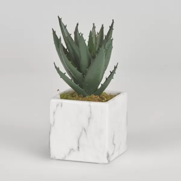 Arrangements & Greenery-Kirkland's Home Mini Aloe Plant In White Marble Ceramic Cube Green