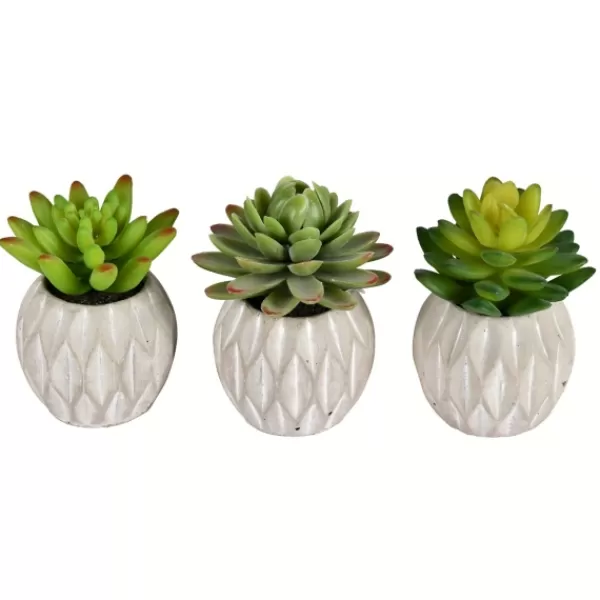 Arrangements & Greenery-Kirkland's Home Mini Succulents In Ceramic Pots, Set Of 3 Green