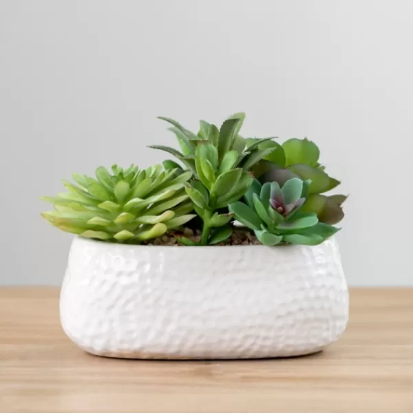 Arrangements & Greenery-Kirkland's Home Mixed Succulent Arrangement In White Ceramic Bowl Green